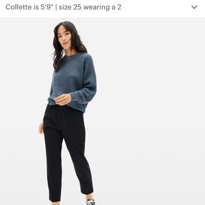 Everlane Italian GoWeave Easy Pant